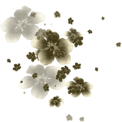 flower-beige-deco-minou52 - ilmainen png