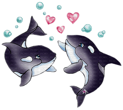 Kaz_Creations Cute Dolphins - PNG gratuit