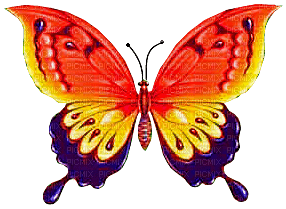 Y.A.M._Fantasy Butterfly - zdarma png