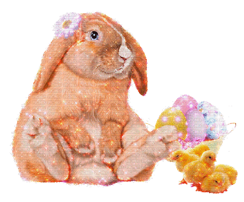 Easter hare by nataliplus - 無料のアニメーション GIF