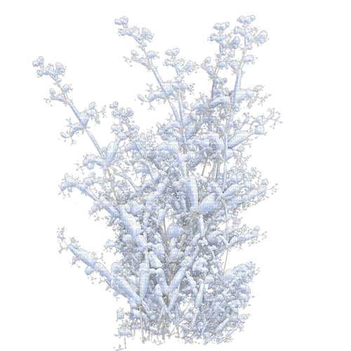 vinter  buske-----winter bush - gratis png