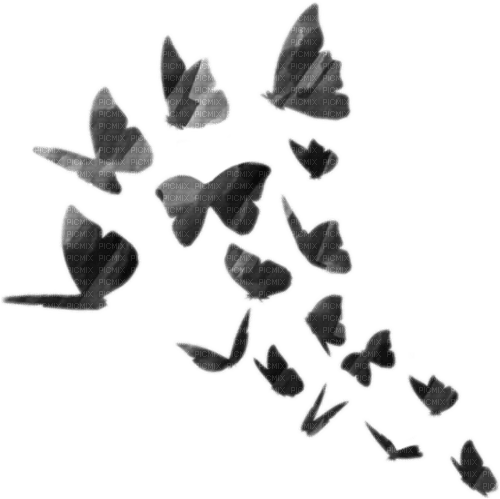 gradient butterflies - bezmaksas png