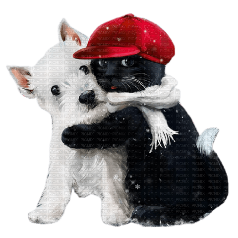 Chat Chien Blanc Noir Rouge:) - zadarmo png
