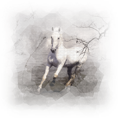 horse in winter - δωρεάν png