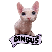 bingus - gratis png