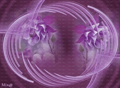 minou-purple-background-violet-fond-viola sfondo-lila-bakgrund - PNG gratuit