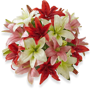 lilies Nitsa Papacon - PNG gratuit