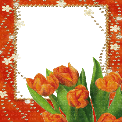 flower frame (created with gimp) - GIF animé gratuit