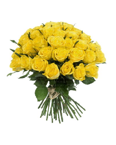 Квіти - Free PNG