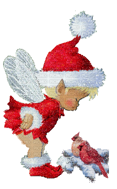 Christmas birds bp - GIF animate gratis