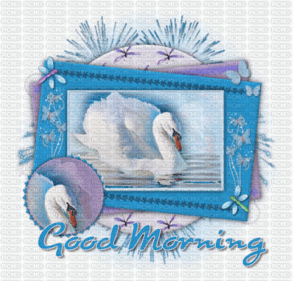 MMarcia gif Good Morning Bom dia paysage - Free animated GIF