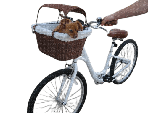 maj vélo - png gratis