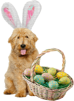 Kaz_Creations Dog Easter - nemokama png