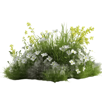 flower/shrub - gratis png