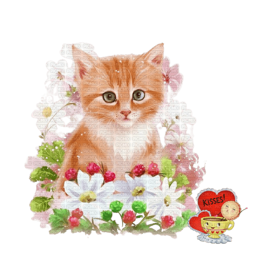 chats - ilmainen png