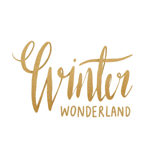 Winter wonderland Bb2 - nemokama png