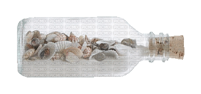 muschel shell shellfish coquille sea meer mer ocean océan ozean  fish  summer ete beach plage strand tube bottle - GIF animado gratis