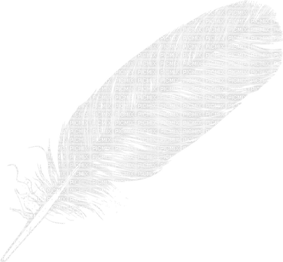 Kaz_Creations Deco  White Feather - png gratuito