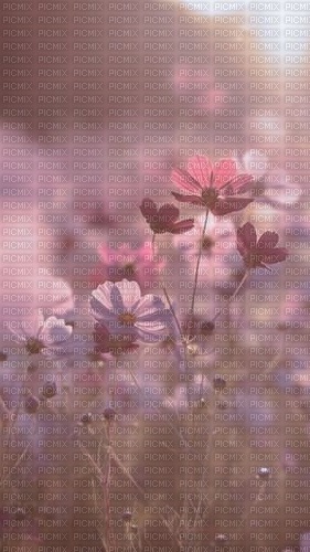fond fleur rose - darmowe png