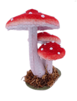 champignons - png gratis
