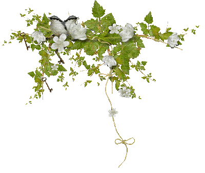 fleurs deco - Nemokamas animacinis gif