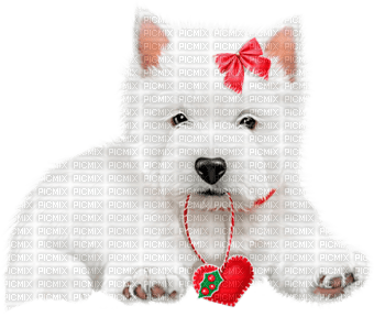 Kaz_Creations Christmas Dog Pup Dogs Colours - ilmainen png