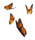 monarch butterfly - Gratis geanimeerde GIF