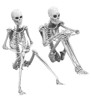 skeleton bp - ilmainen png