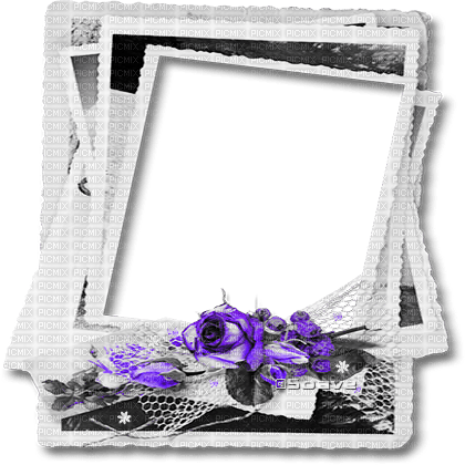 soave frame deco vintage photo flowers rose - zdarma png