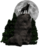 Wolf.Loup.Lobo.Animation.lune.moon.Victoriabea - Free animated GIF