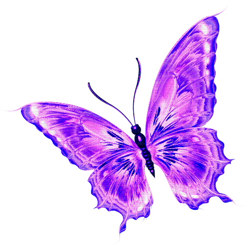 Butterfly.Purple.Blue - PNG gratuit