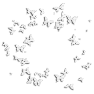 Butterflies Deco