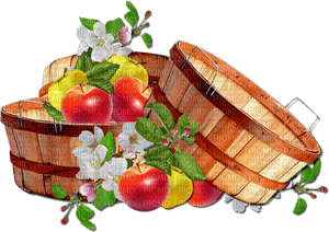 deco autumn fruit apple kikkapink - PNG gratuit