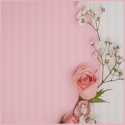 pink background by nataliplus - gratis png