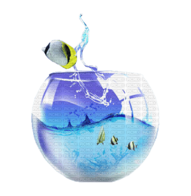 tube animaux aquarium - zadarmo png