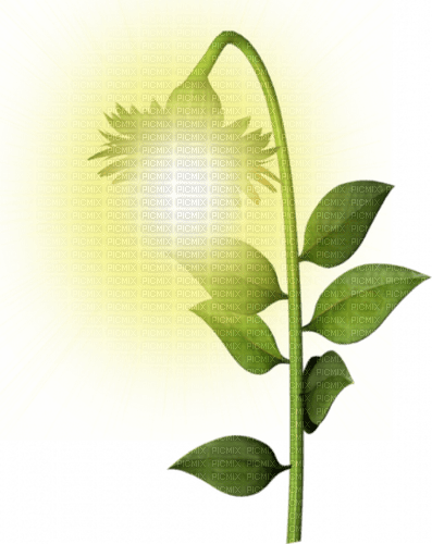 Lampara de flor con luz - png grátis