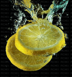 Citron - GIF animado grátis