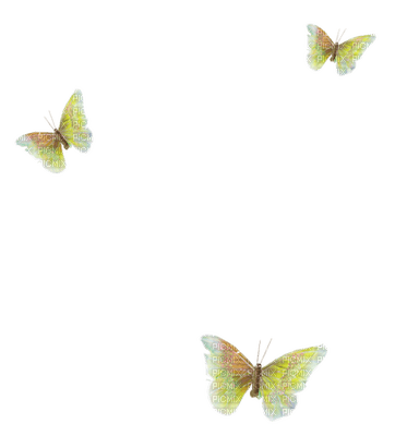 butterflies anastasia - ücretsiz png