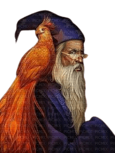 sorcier Merlin - darmowe png