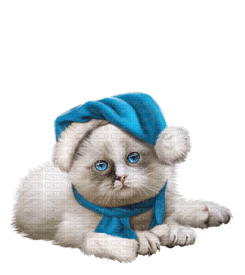 Kaz_Creations Cats Cat Kittens Kitten  Christmas - kostenlos png
