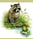 raccoon - GIF animado grátis