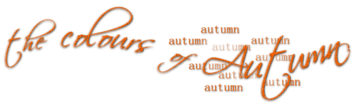 The Colours Of Autumn.Text.Orange - 免费PNG