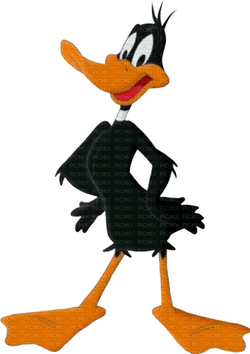 Daffy Duck - bezmaksas png