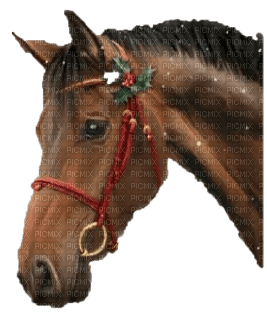 Christmas cheval - gratis png