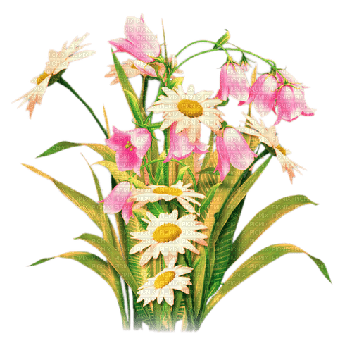 Flowers.Pink.White.Yellow - zdarma png