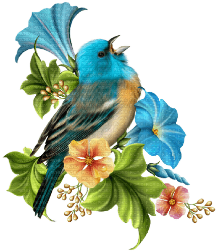 Kaz_Creations Bird-Flowers-Fleurs - 免费PNG
