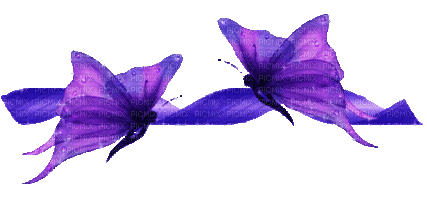 butterflies - Δωρεάν κινούμενο GIF