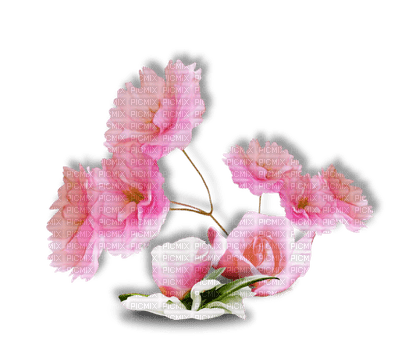 patymirabelle fleurs - фрее пнг