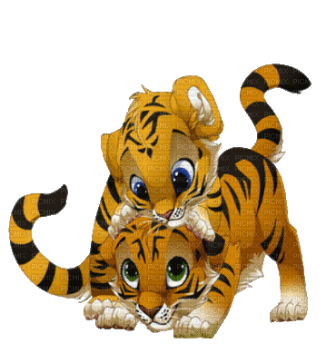 petits tigres - GIF animado gratis