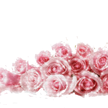 VanessaVallo _crea- pink roses animated - GIF เคลื่อนไหวฟรี
